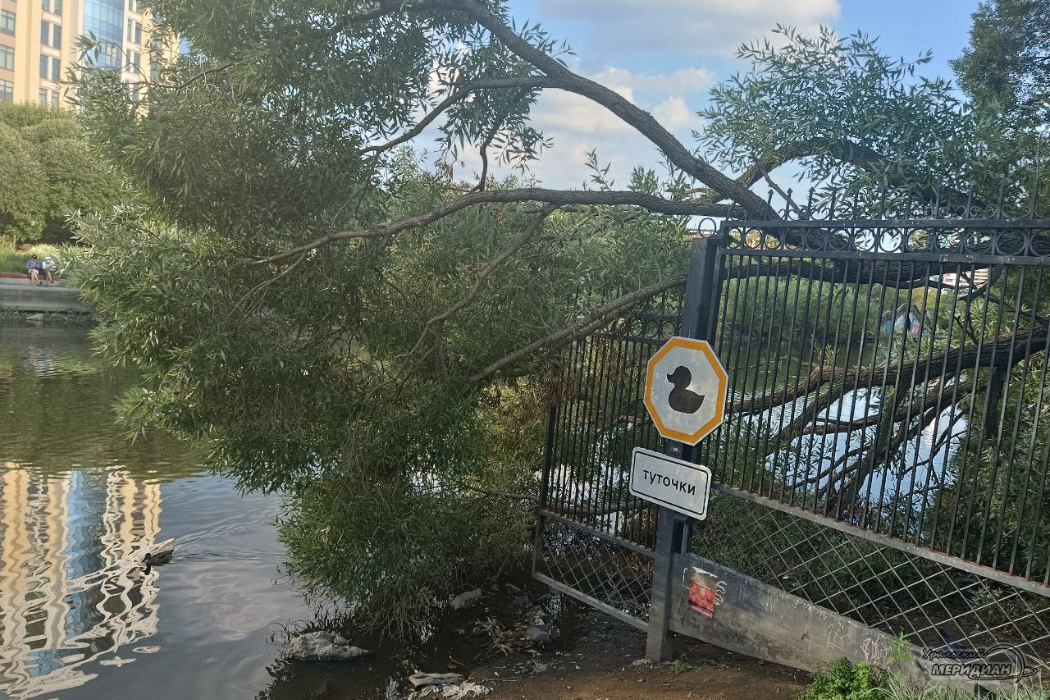    Фото: читатель © ИА «Уральский меридиан»