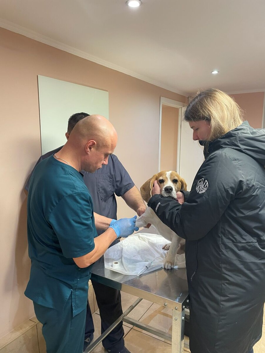 Нас любят и доверяют AnimalDent.ru | ☎️ +7 (499) 398‑18‑93 и ☎️ +7 (968) 373‑23‑33