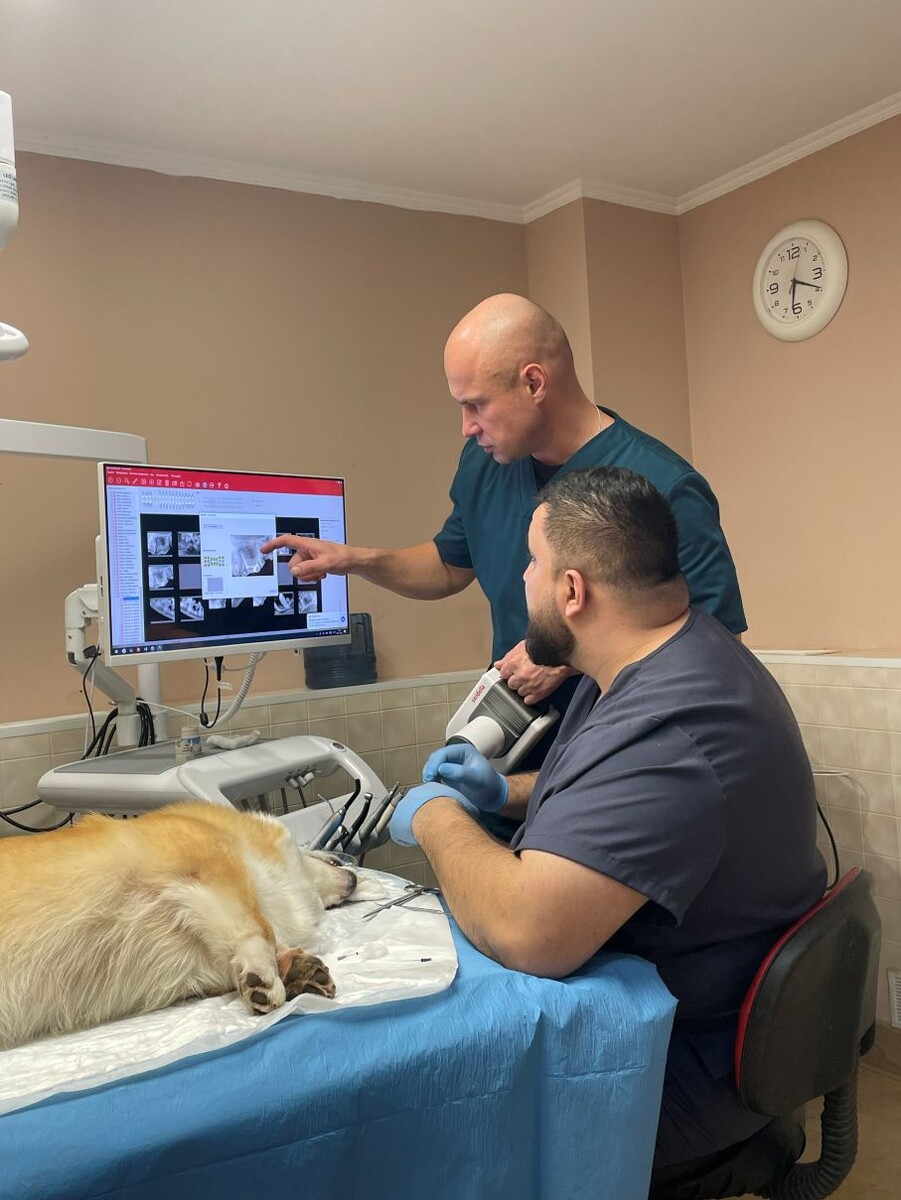 Лечить руками — легко, лечить сердцем — вот истинное призвание