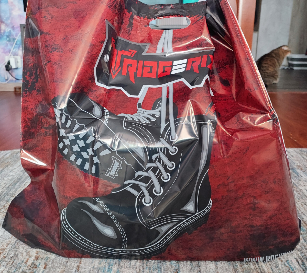 Пакет с ботинками Triggerix