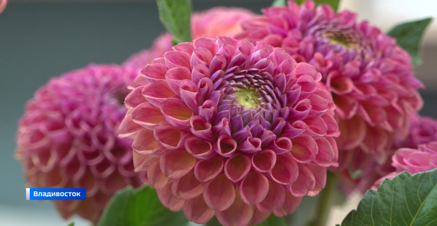    Источник фото: