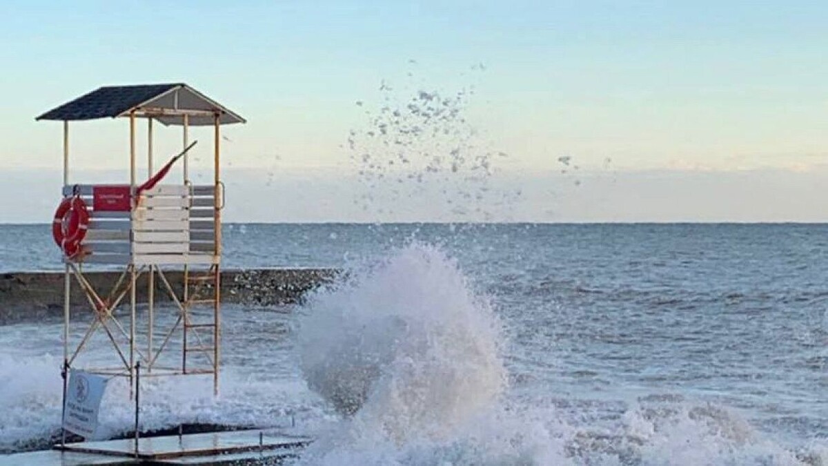    Фото: телеканал «Краснодар»