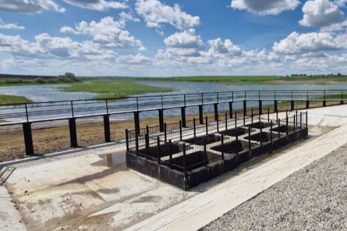    Фото: Известия Мордовии, источник: izvmor.ru