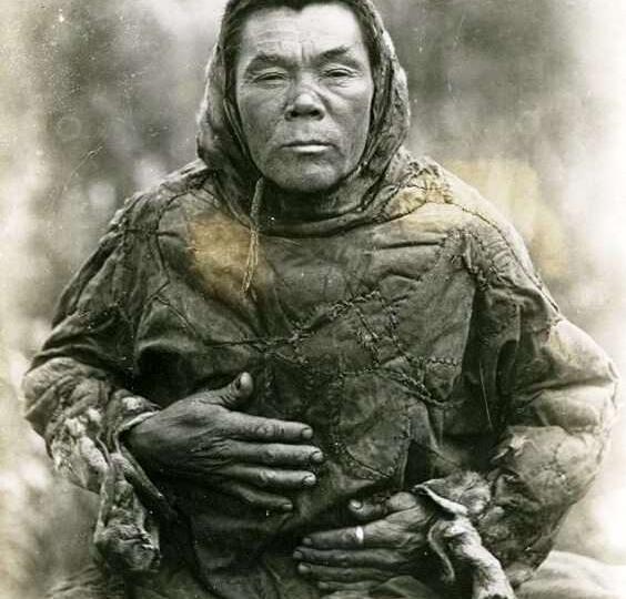 Бронзовый медведь