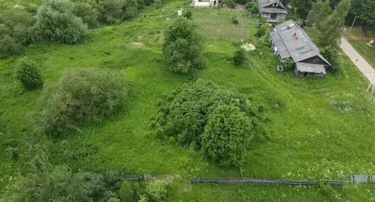    Участок на торгах в Подмосковье / Единый портал торгов Московской области ЕАСУЗ