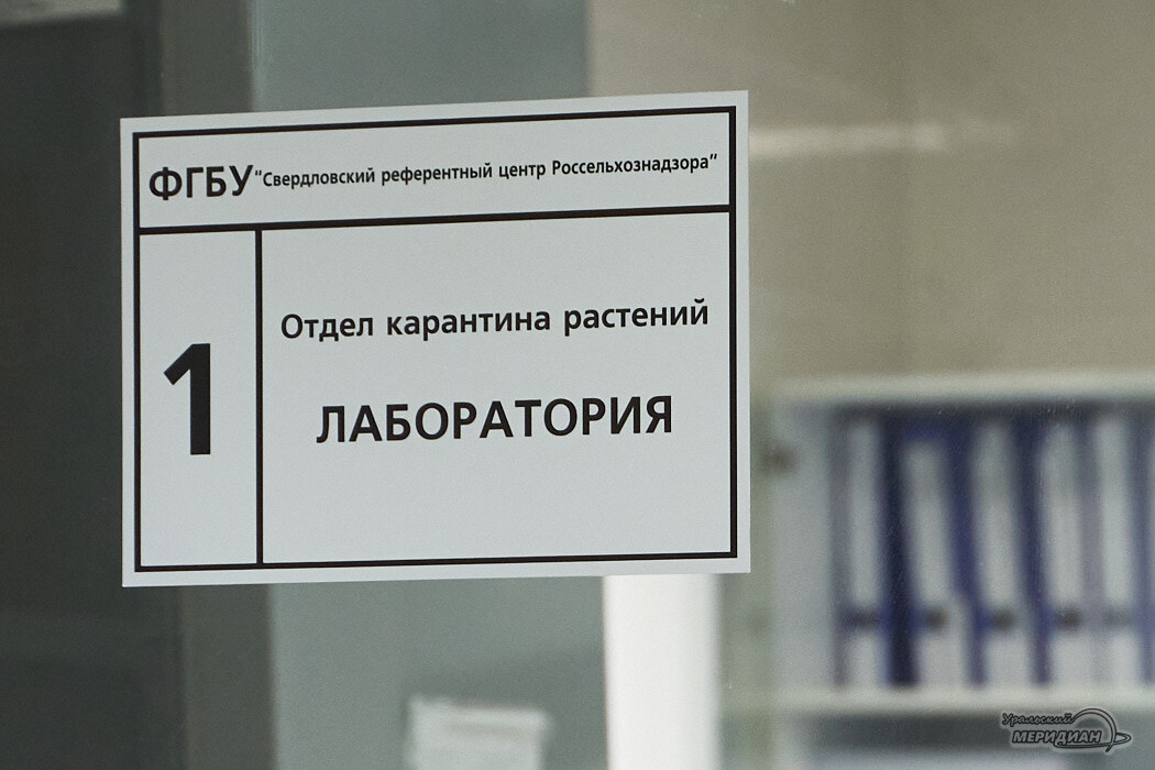    Фото Лидия Аникина © ИА «Уральский меридиан»