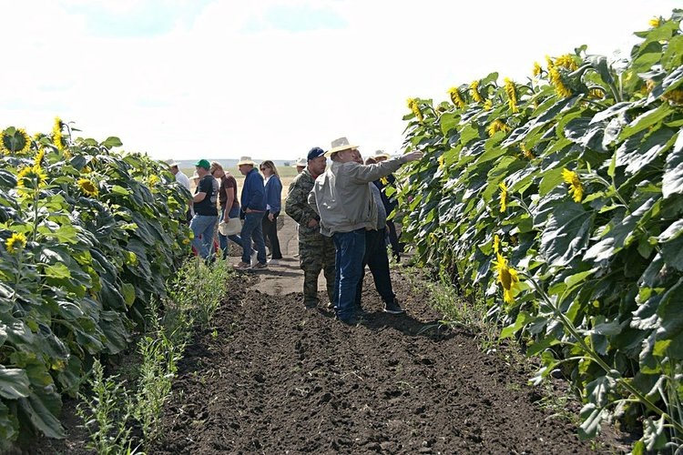    Фото: Пресс-центр Минсельхоза Челябинской области
