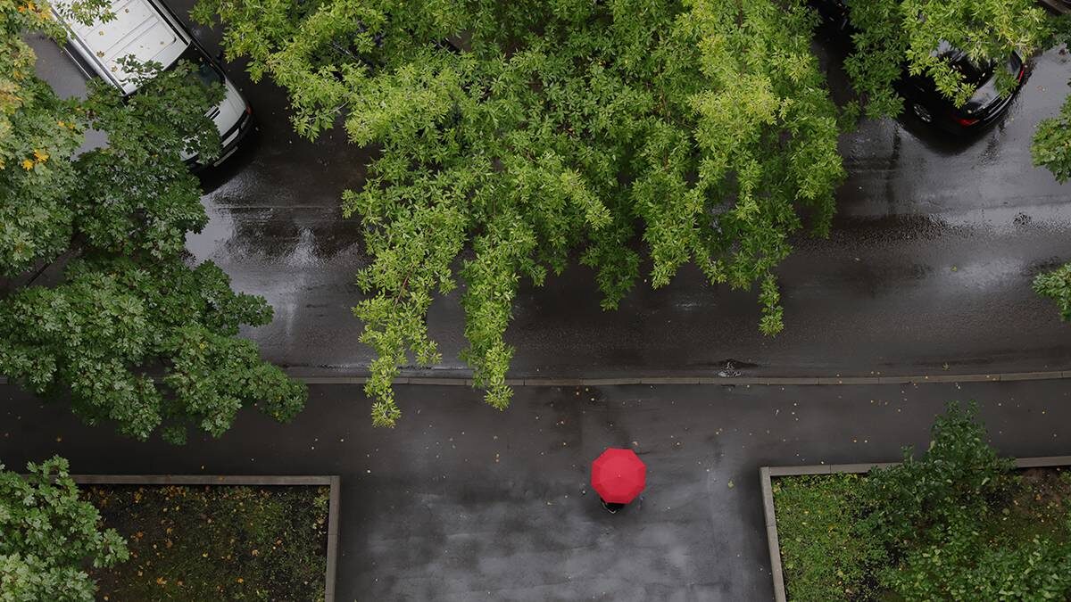    Фото: Анатолий Цымбалюк / Вечерняя Москва