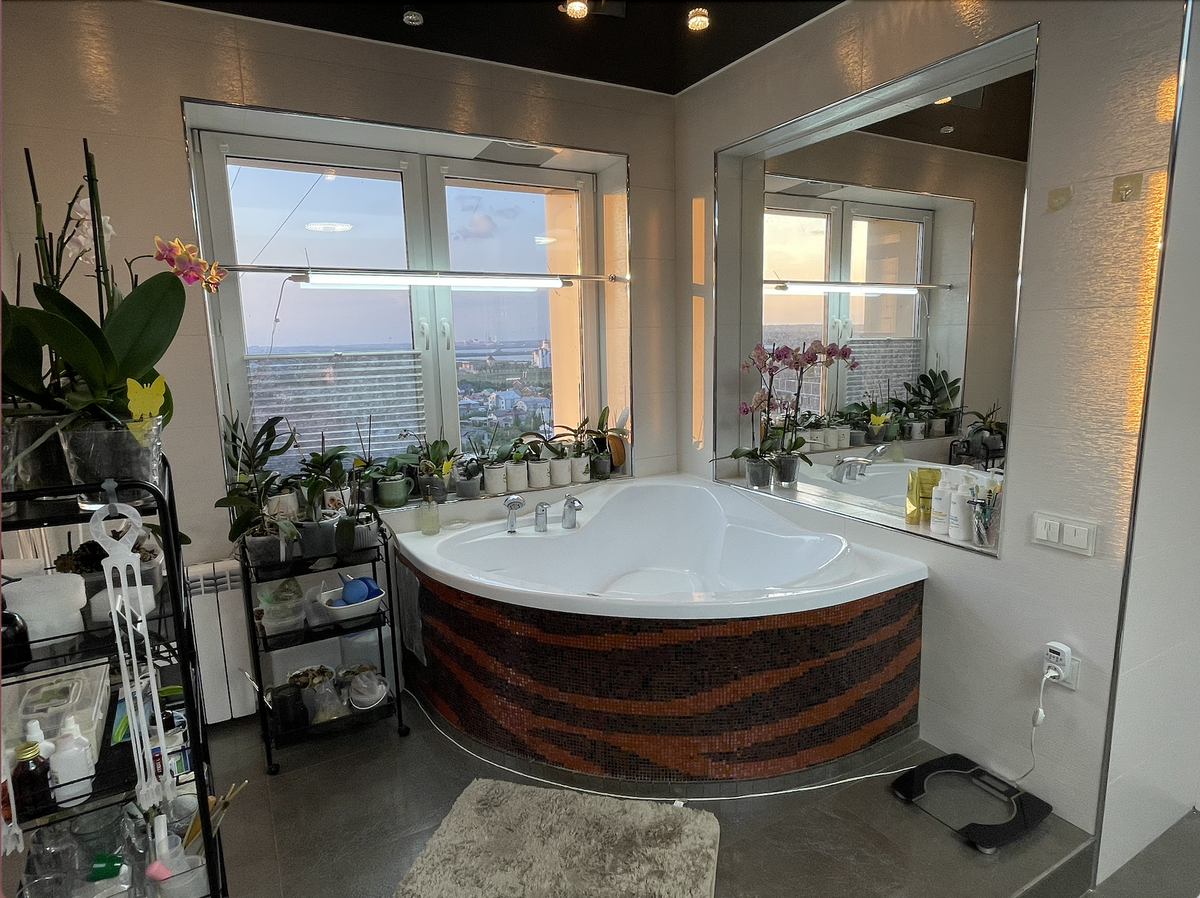 Санаторий для моих домашних особенных орхидей. Орхидеи С Еленой Кузнецовой