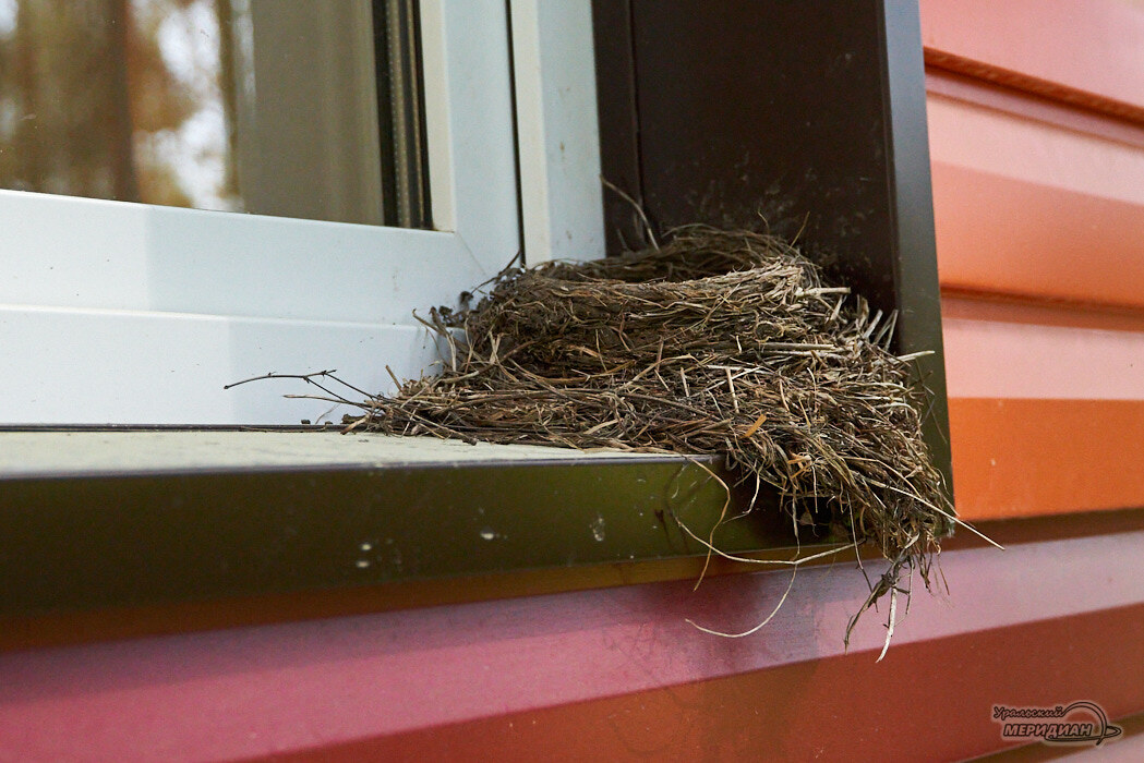    Фото Лидия Аникина © ИА «Уральский меридиан»