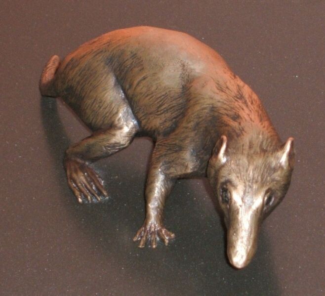 Возможно флуктуодон.