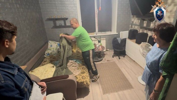    следственный комитет