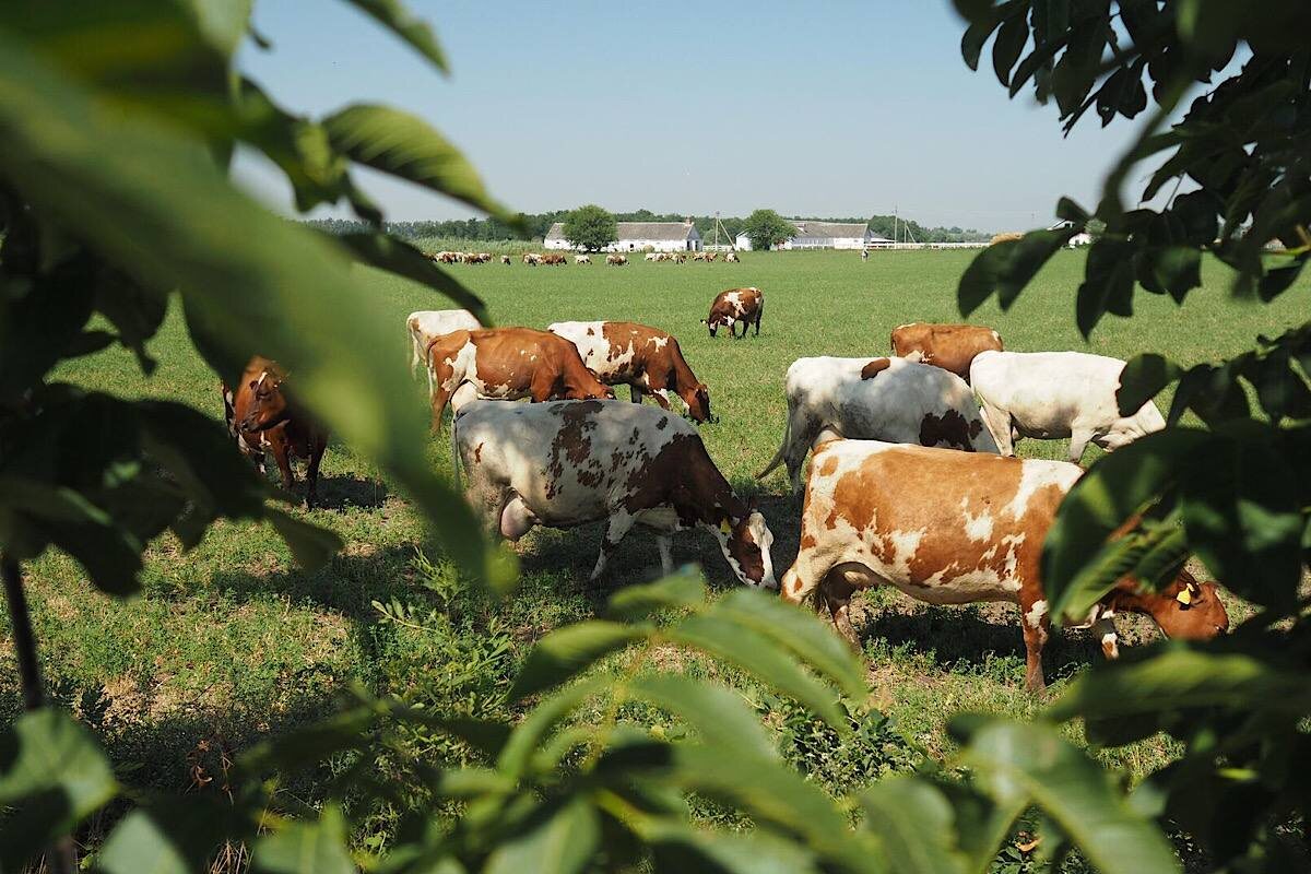    Фото: Виталий Тимкив, источник: РИА Новости