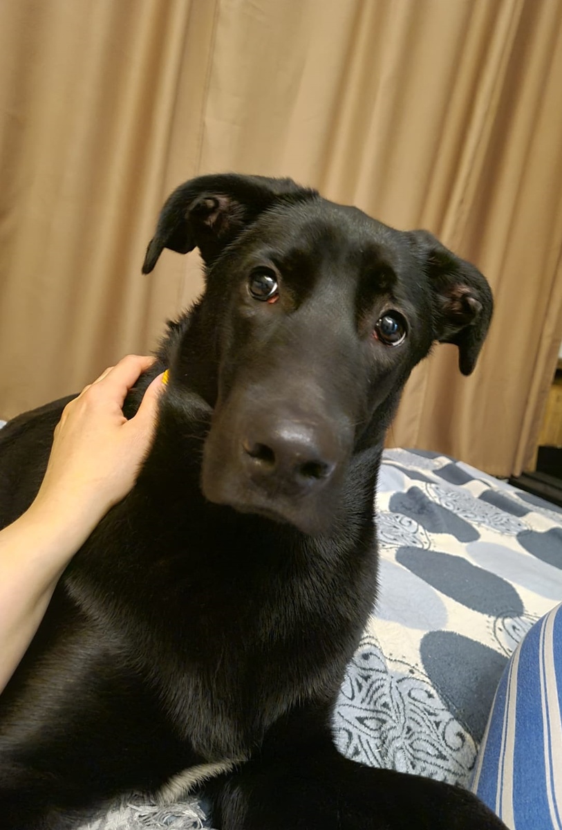 Фото из личного архива автора.