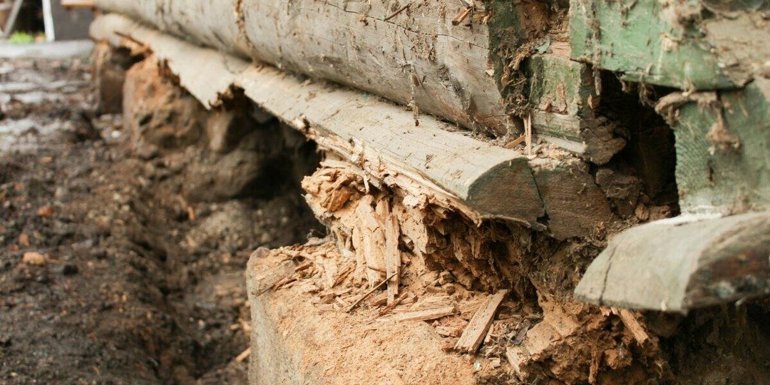 Почему старинные срубы стоят по 400 лет, а новые гниют через 20 лет?