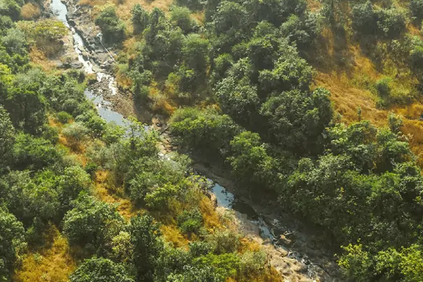 Фото предоставлено Dharana at Shillim