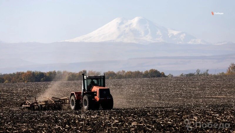      Фото: ИА «Победа26»