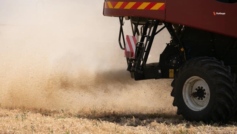    Уборку 188,6 тыс. тонн зерновых культур завершили в Предгорном округе  Фото: ИА «Победа26»