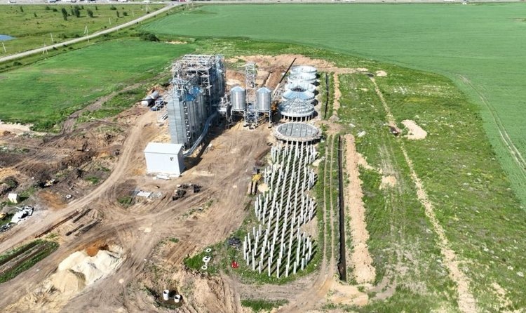    Фото: Пресс-служба Министерства сельского хозяйства и продовольствия Московской области