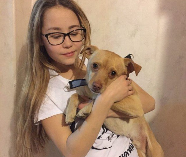 В Башкортостане девочка с помощью родителей открыла собственный приют для собак