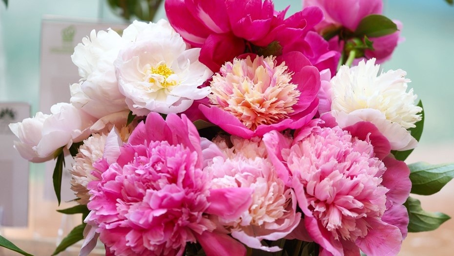    Автор фото: Сергей Булкин/ТАСС