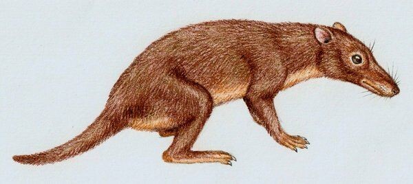 Эозостродон. 