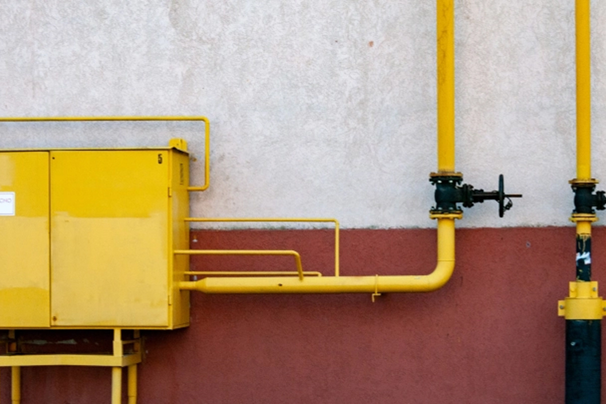    Фото: Svetlana Vozmilova Источник: Global Look Press