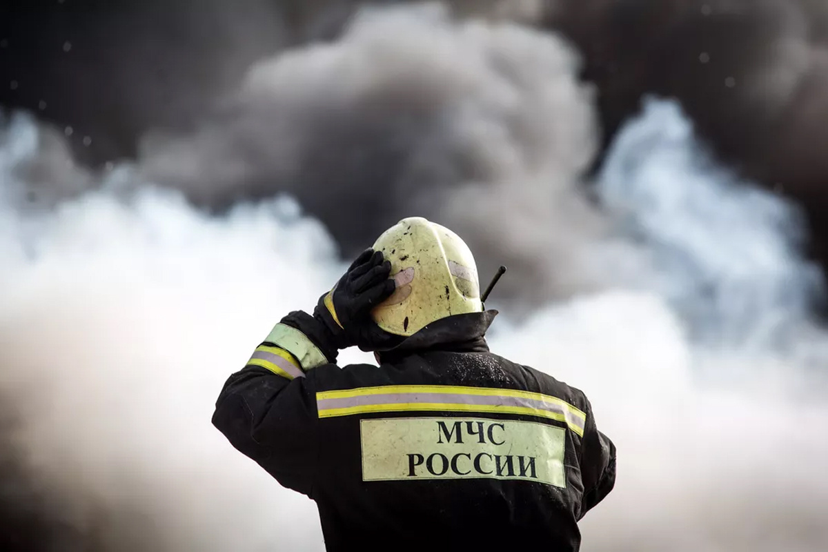    Фото: Вадим Брайдов Источник: ria.ru