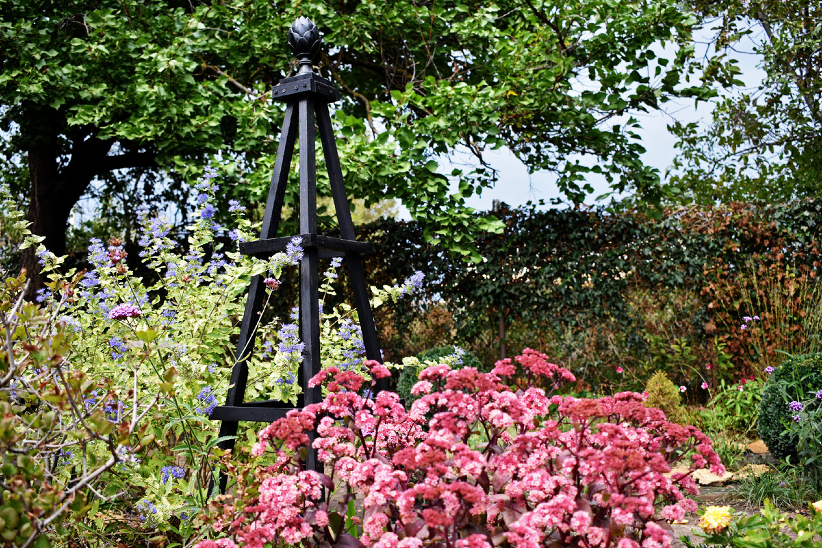 Перед долгожданным дождем