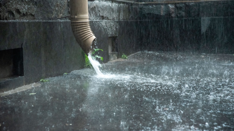    телеканал "Санкт-Петербург" / АО "ГАТР"