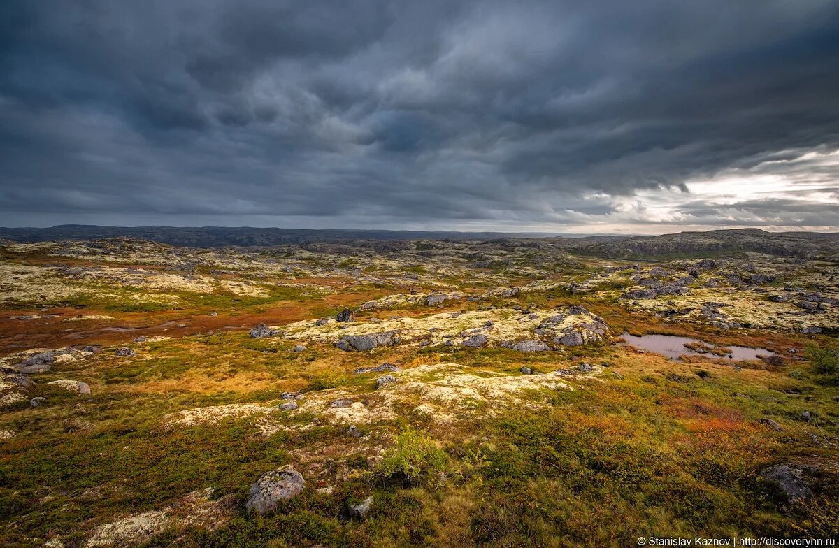 Кольский полуостров осенью. Фото с сайта https://discoverynn.ru. Автор - Станислав Казнов.