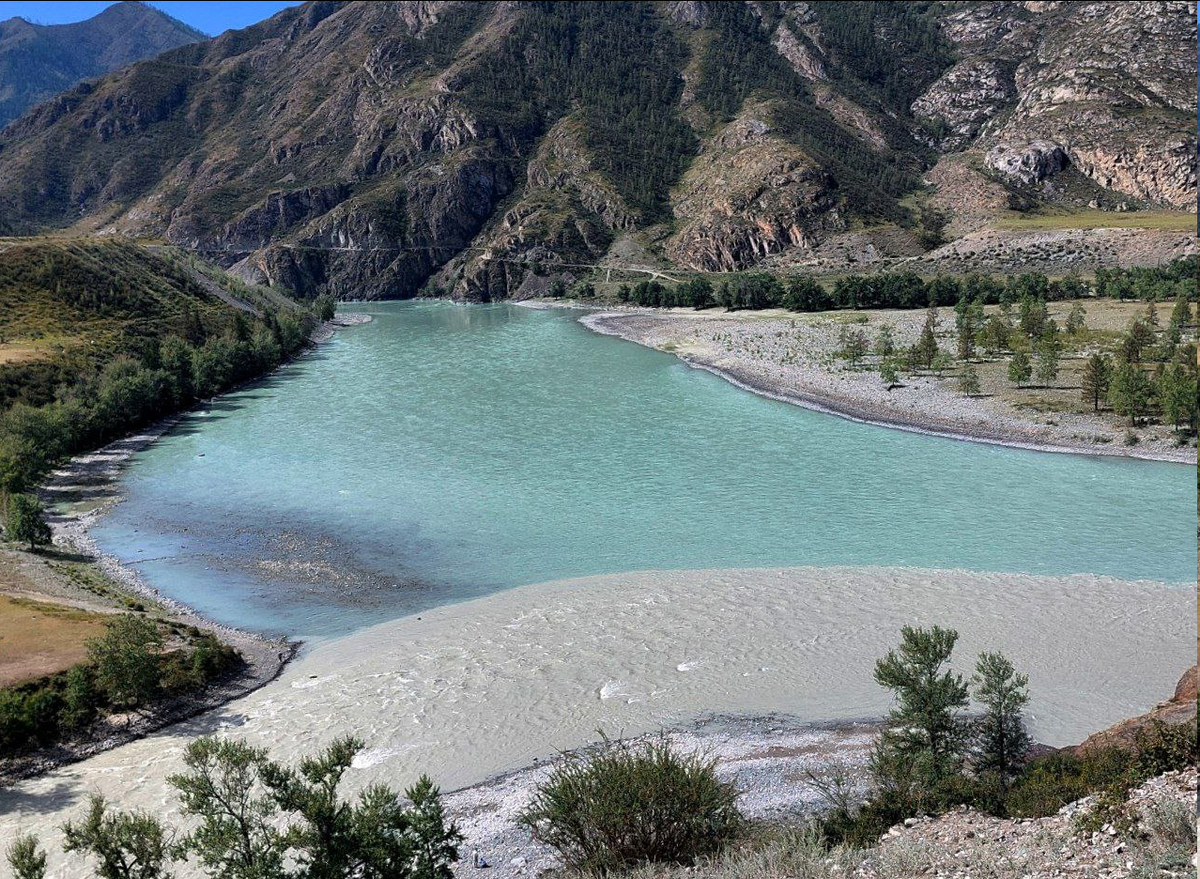 Мое фото с августа. Катунь еще немного мутная, но контраст цвета рек хорошо заметен.