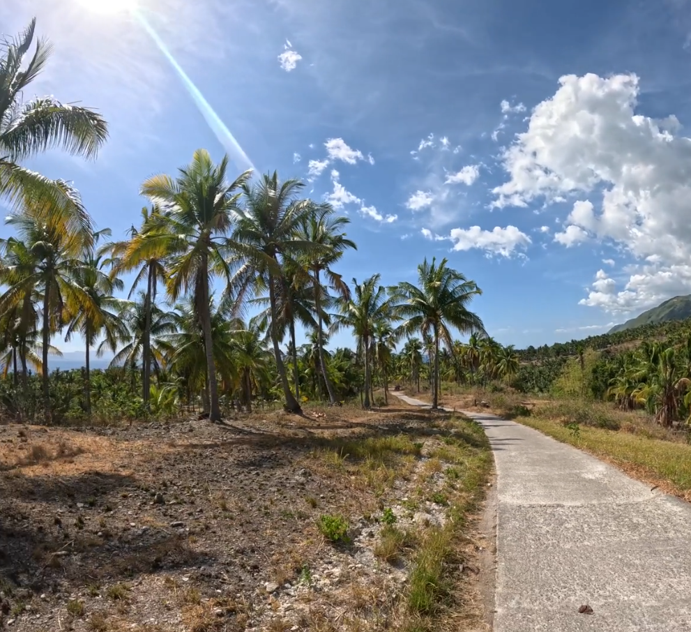 дорога к водопаду Дао