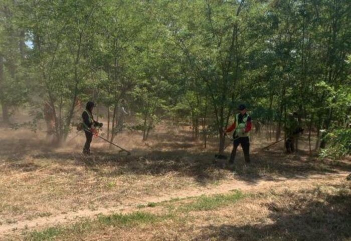 Иллюстрация: rostov-gorod.ru