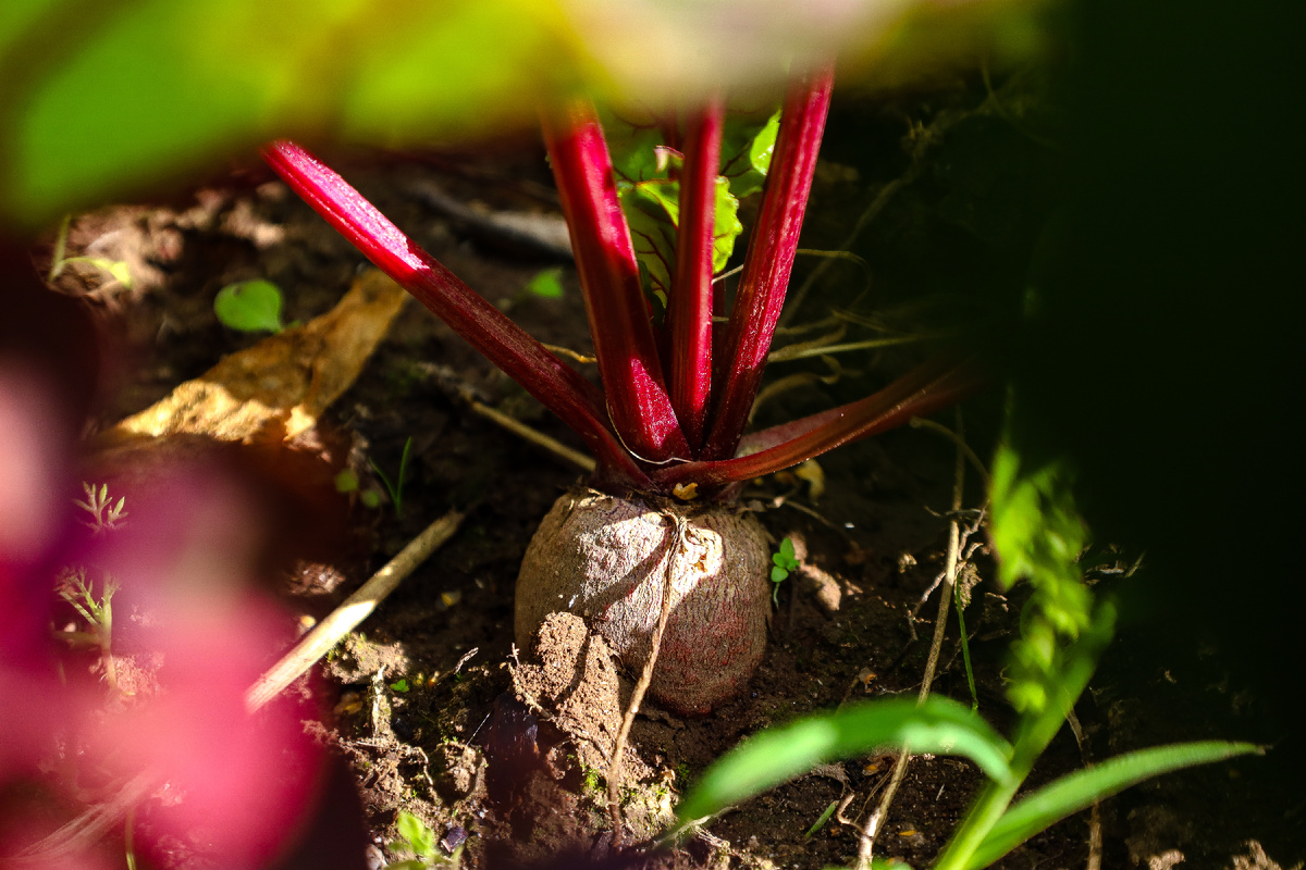 Фото: © Elena Mayorova/ Global Look Press