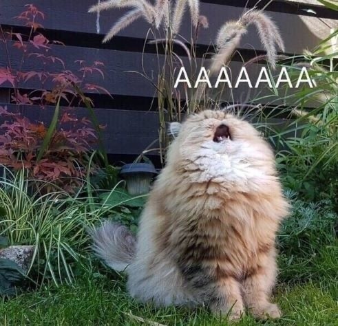 5 причин, почему ты так и не сделаешь себе тату 😐