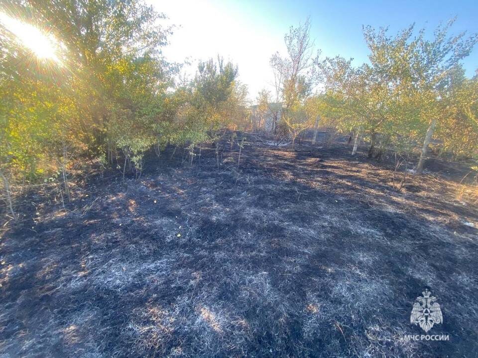    Фото: ГУ МЧС России по Волгоградской области