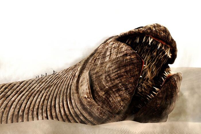 Фото из публикации автора канала "Присутствие".