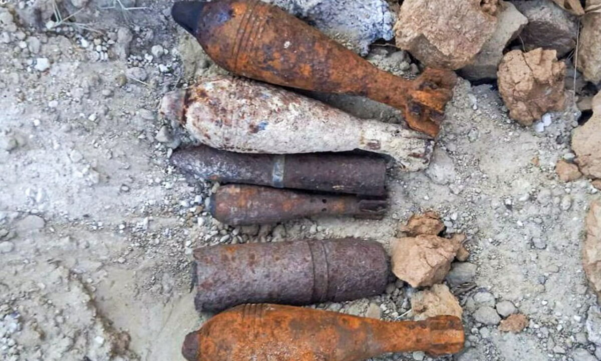    Фото t.me/rosgvard_krasnodar