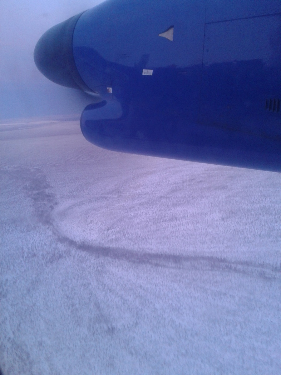 лесотундра в районе Удачного. Деревья очень низкие