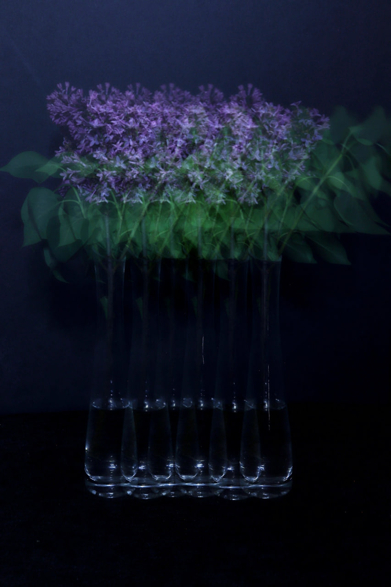 Двигающийся объект в кадре