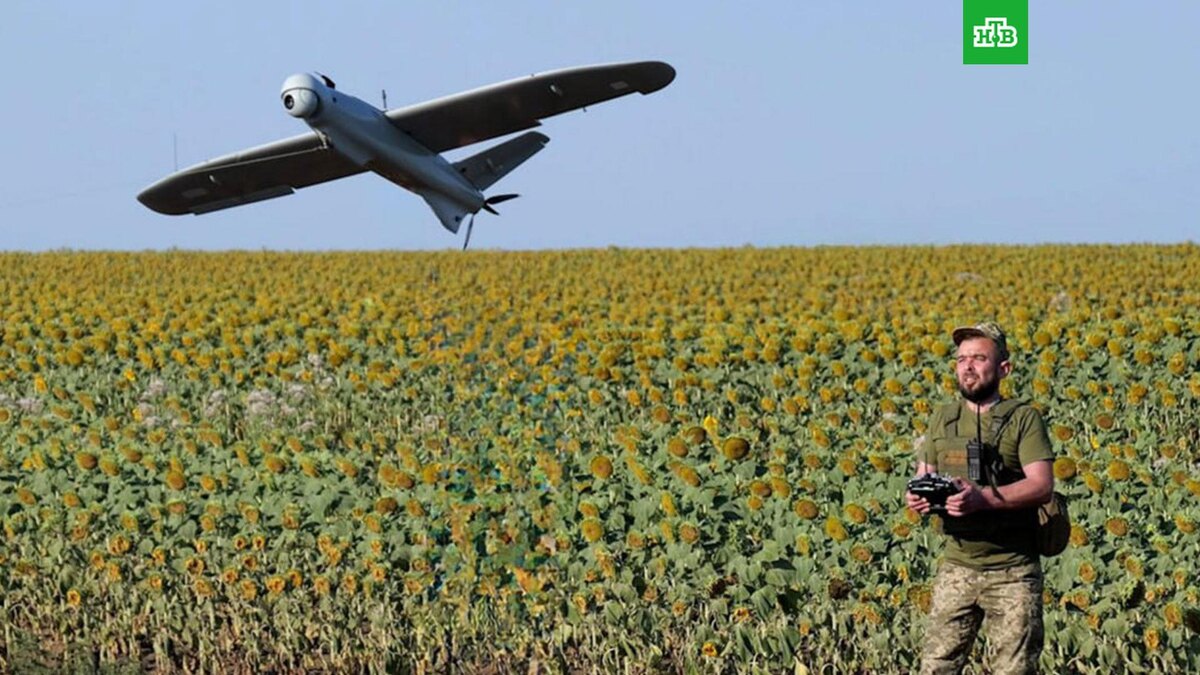    Фото: landforcesofukraine / t.me