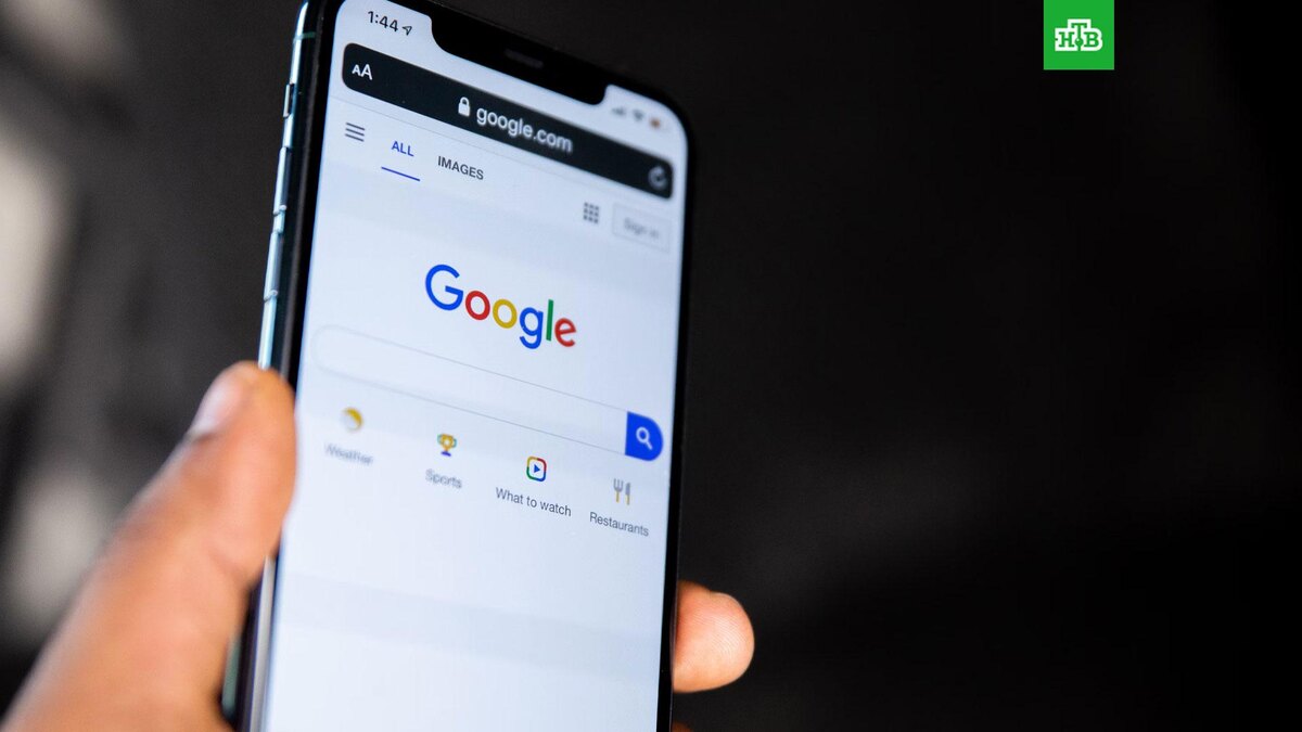    Фото: Solen Feyissa / unsplash.com