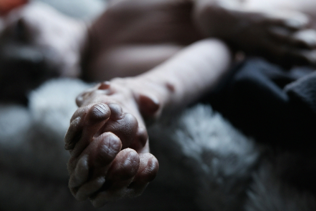 Даже лапки сфинксов пахнут приятно 