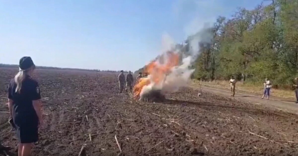 Фото: МВД / Телеграм-канал