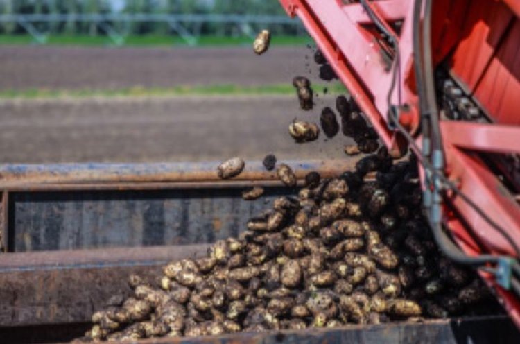    Фото: Минсельхоз Липецкой области