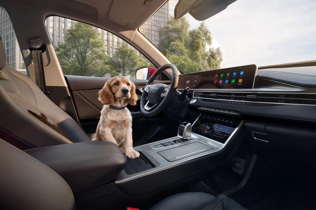 Фото Tenet  📷
