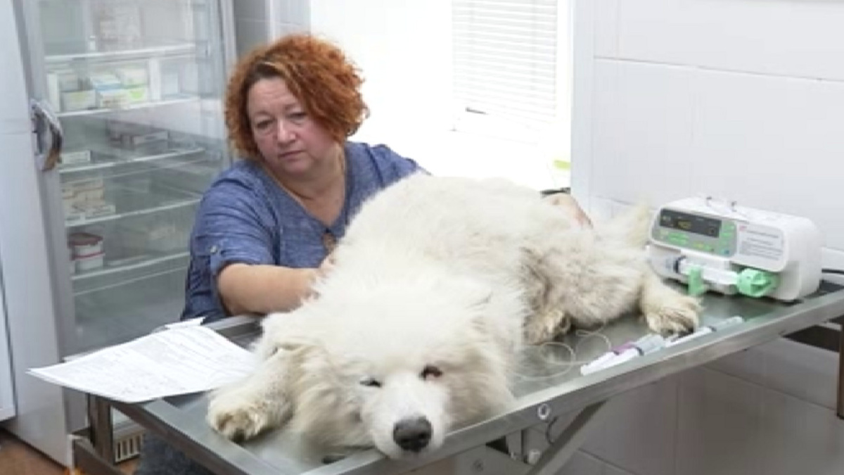     За неделю в Курской области зарегистрировано 7 новых случаев болезни Лайма