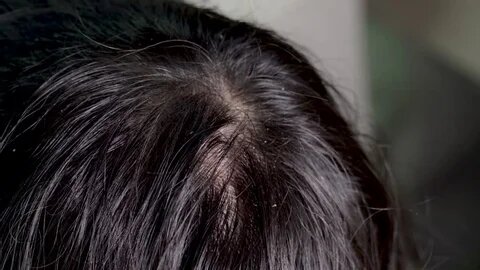 Источник Google картинки