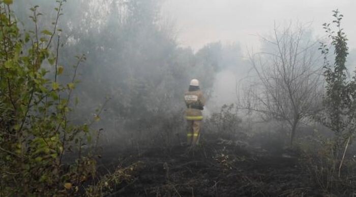 Иллюстрация: ГУ МЧС РФ по РО